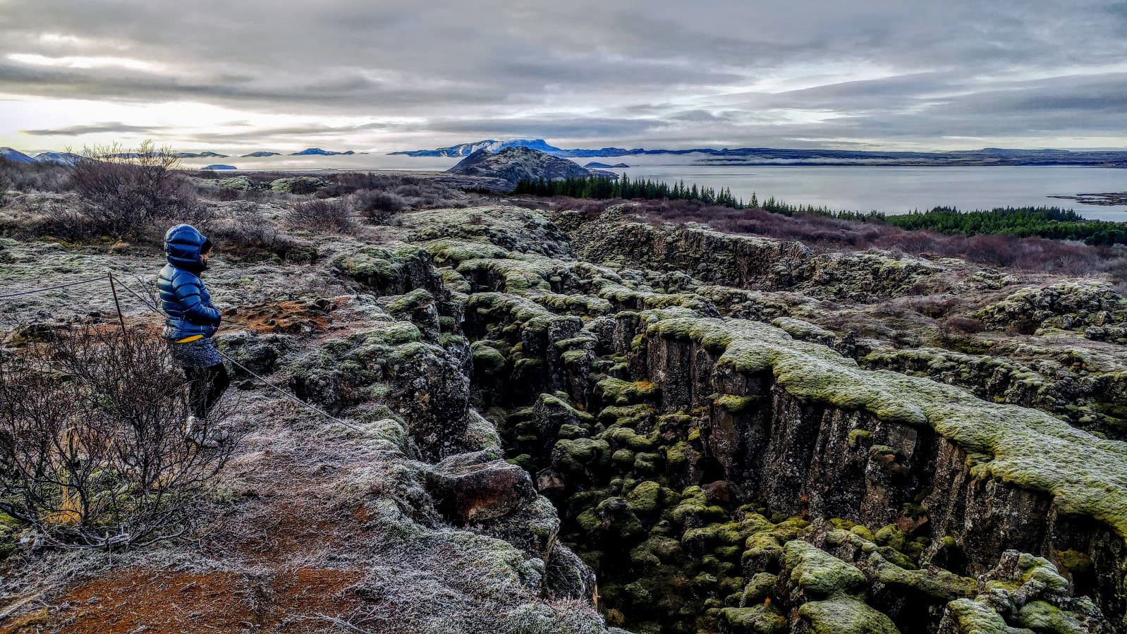 Reykjavík Excursions - New SEO strategy from Datera delivered incredible results